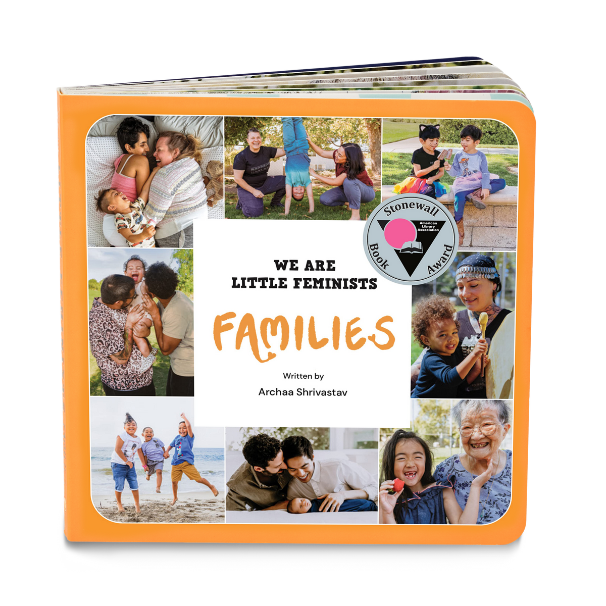 "We Are Little Feminists: Families" cover