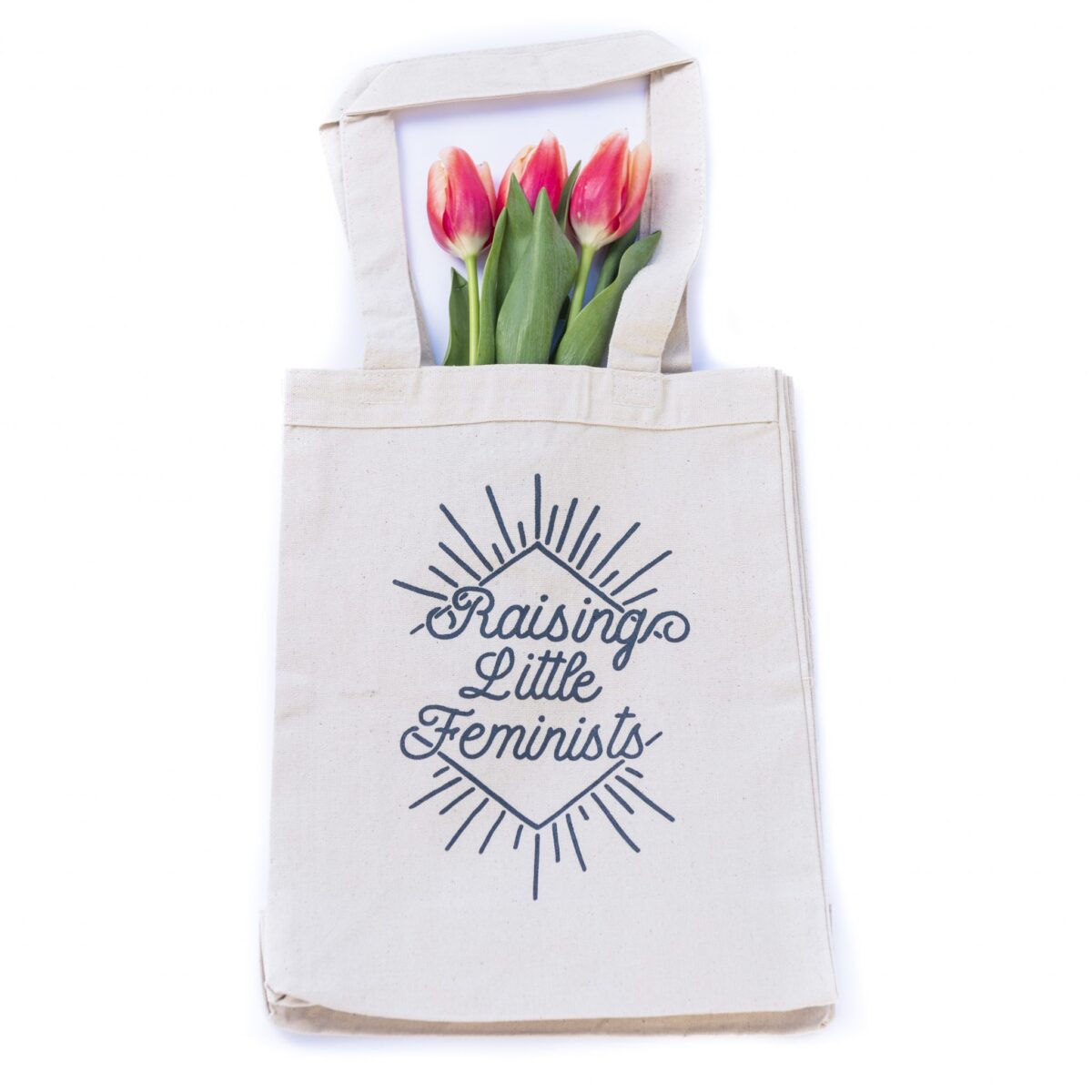 Raising Little Feminists book tote
