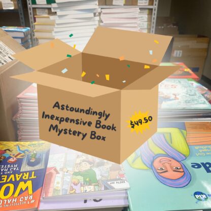 Astoundingly Inexpensive Book Mystery Box